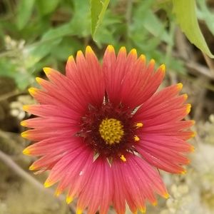 Meet your Posher, Kassidy